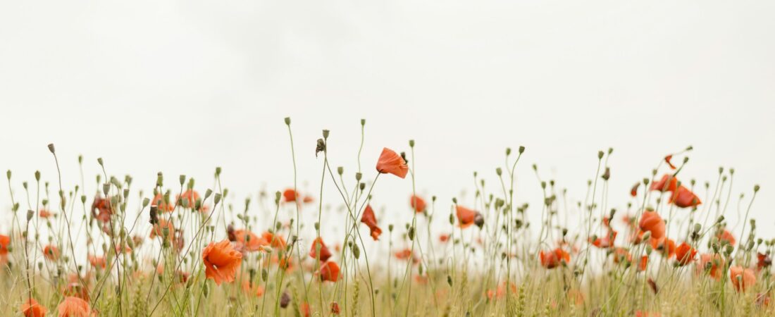 5 Signs You Might Benefit from Therapy
