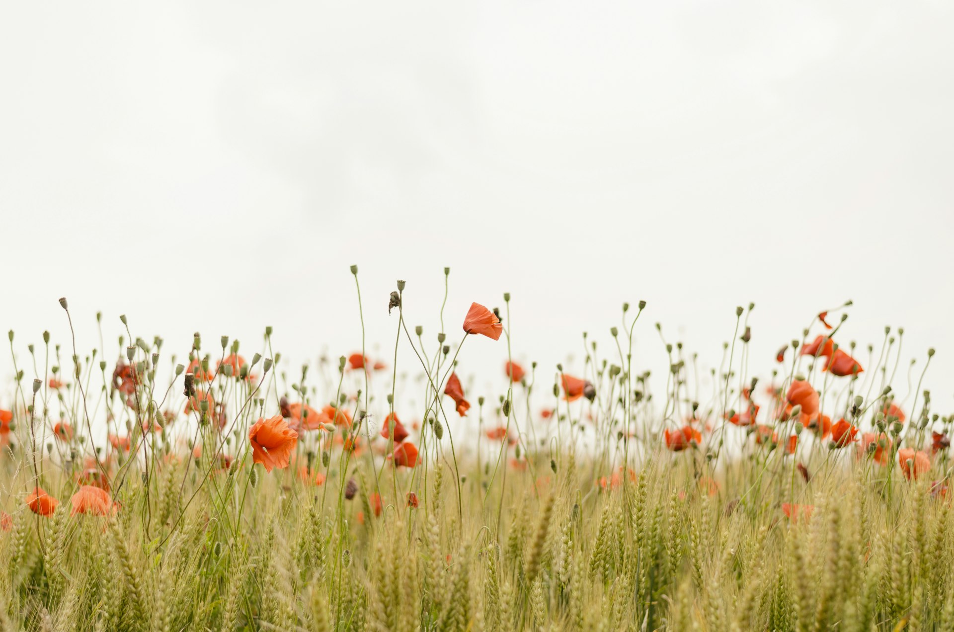 5 Signs You Might Benefit from Therapy