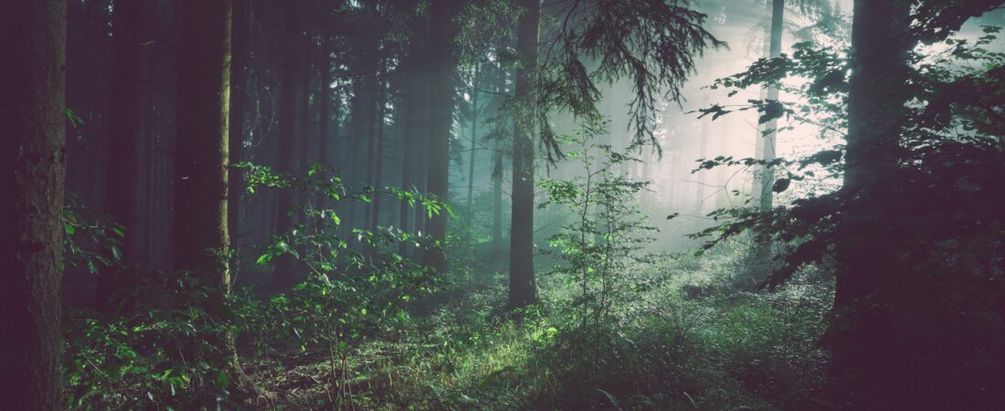 Understanding Anxiety: A Gentle Guide
