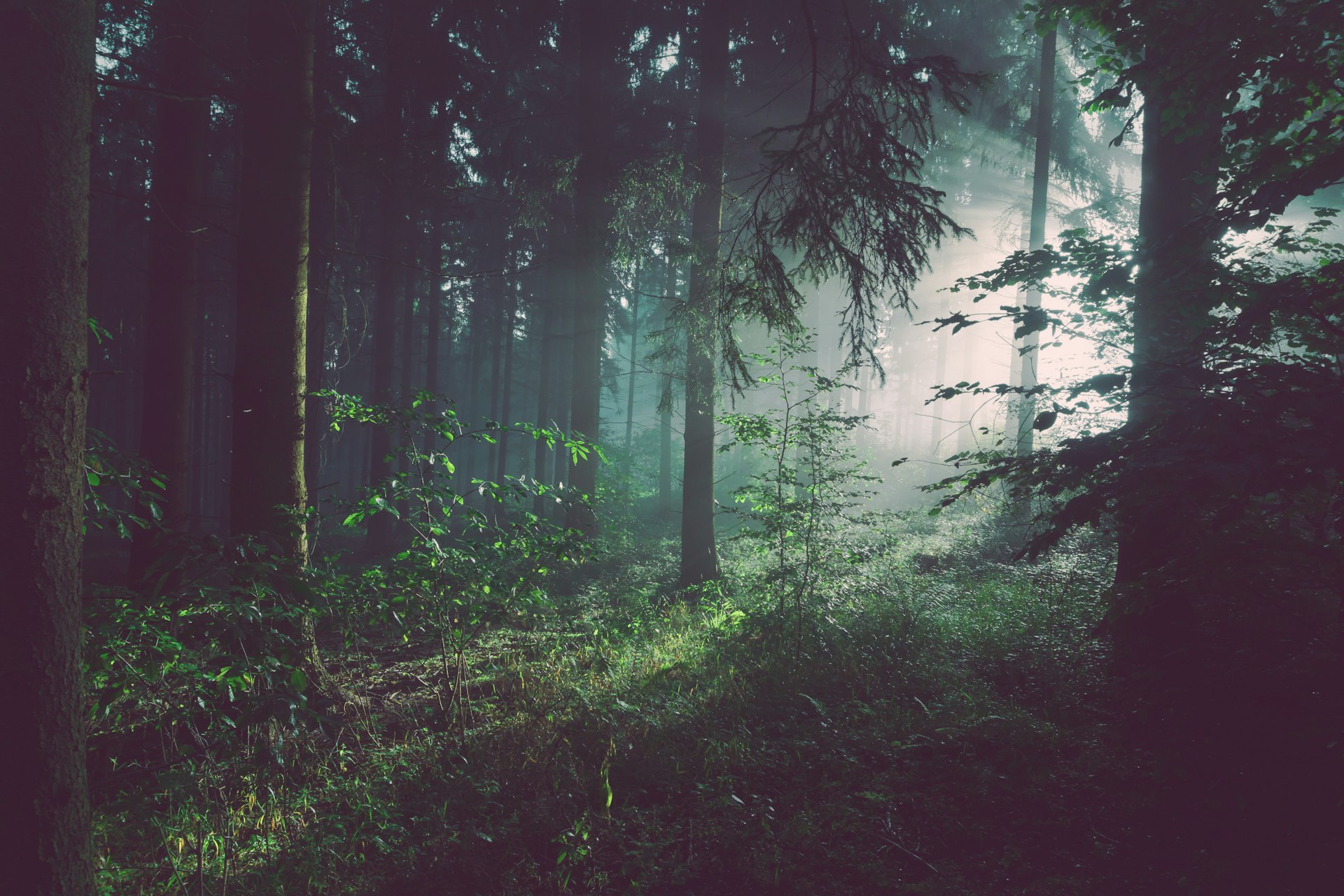 Understanding Anxiety: A Gentle Guide